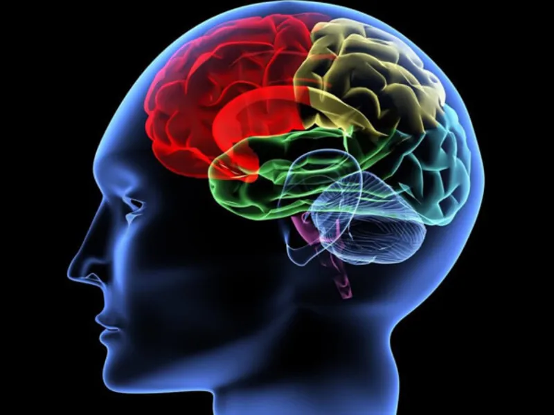 Khám Nội thần kinh là khám những gì? Các phương pháp khám Nội thần kinh